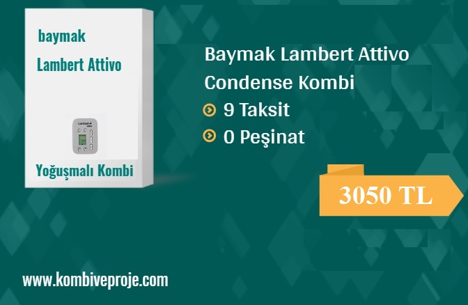 Baymak Lambert Attivo
